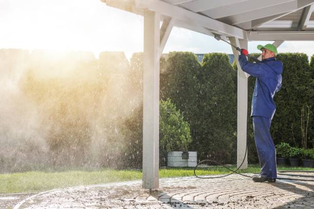 Best Sidewalk and Walkway Cleaning  in Lake Andes, SD